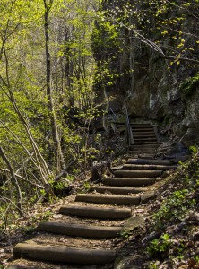 Stairs, Crabtree Falls